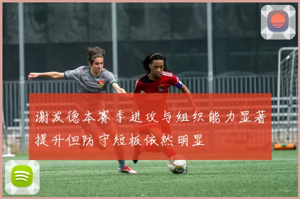 谢泼德本赛季进攻与组织能力显著提升但防守短板依然明显