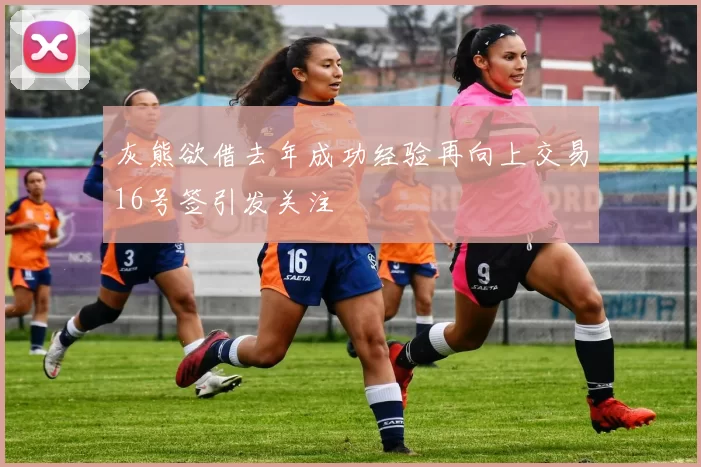 灰熊欲借去年成功经验再向上交易16号签引发关注